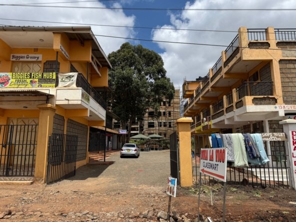 1/4 ACRE COMMERCIAL IN NGONG
